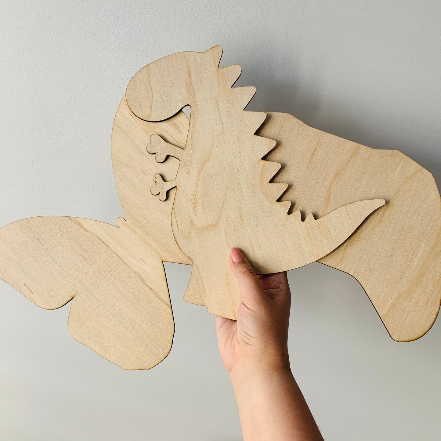 Assorted Plywood Crafting Shapes