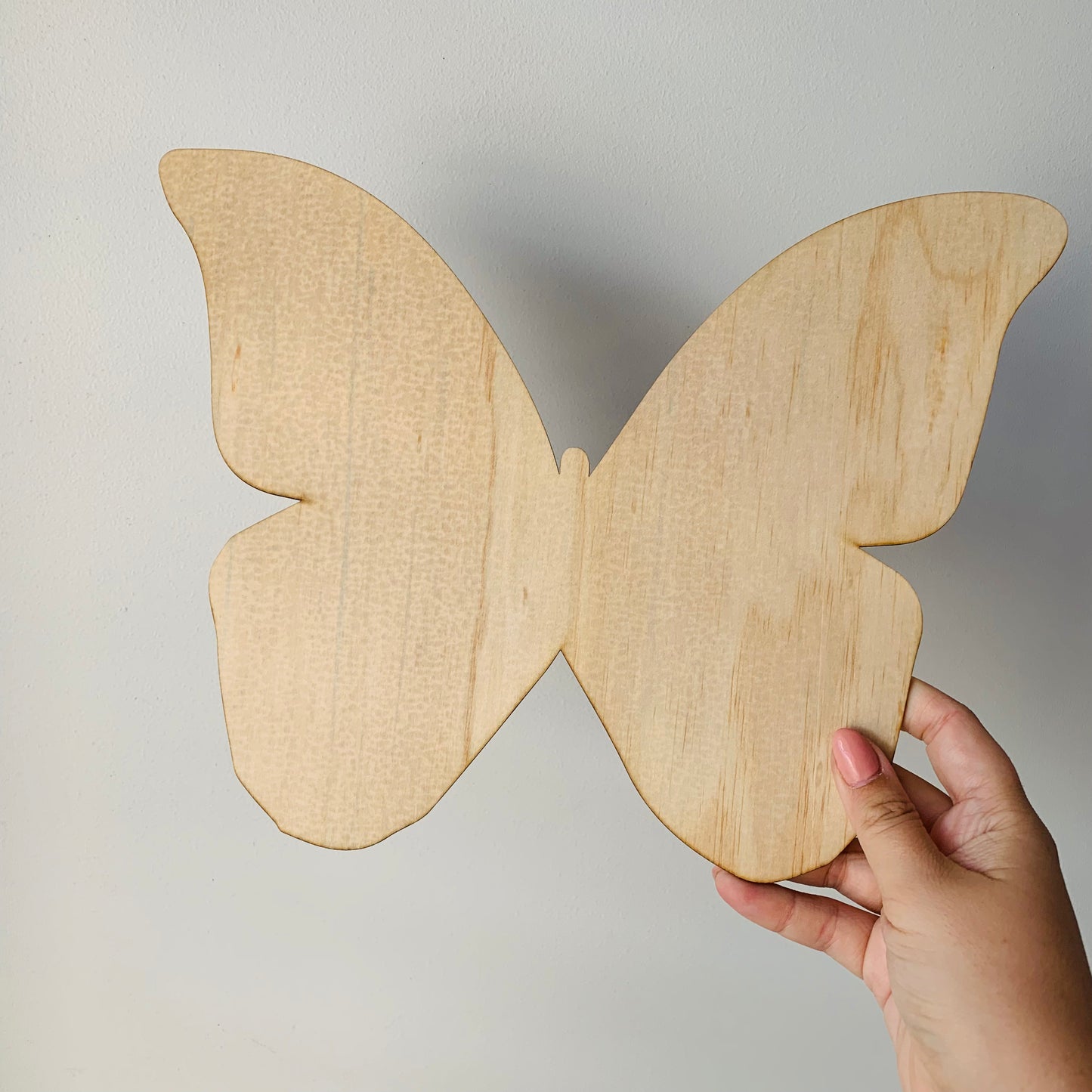 Assorted Plywood Crafting Shapes