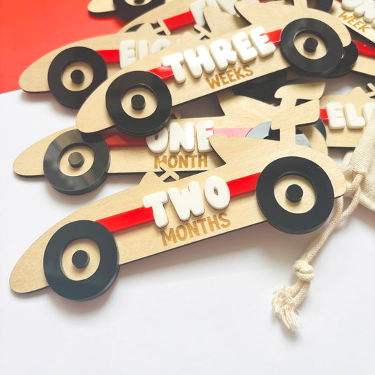 Little Racer 15-Piece Milestone Disc Set