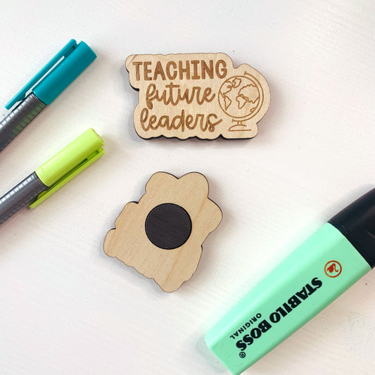 Teaching Future Leaders/Nacho Average Teacher Magnet Set