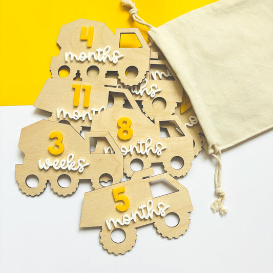 Under Construction 15-Piece Milestone Disc Set