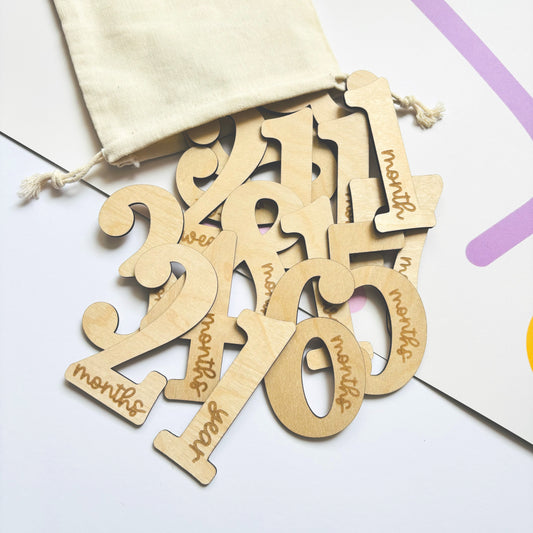 Baby Milestone Number Disc Set