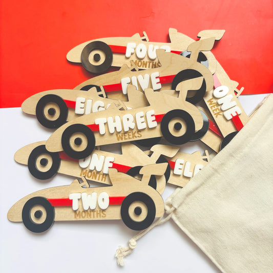 Little Racer 15-Piece Milestone Disc Set