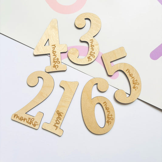 Baby Milestone Number Disc Set